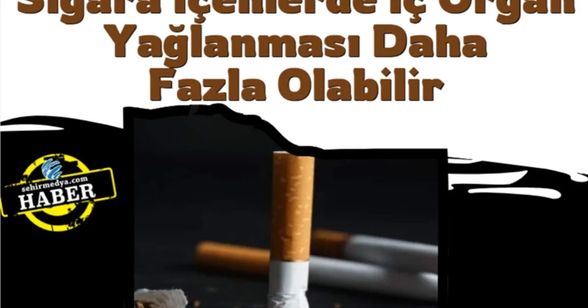 Sigara Enlerde Organ Ya Lanmas Daha Fazla Olabilir Ehirmedya