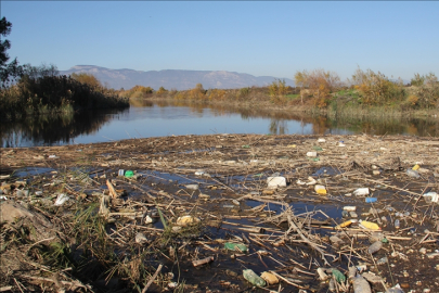 Büyük Menderes Nehri'nde kuraklık nedeniyle yüzlerce balık öldü