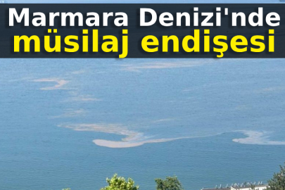 Marmara Denizi'nde müsilaj endişesi