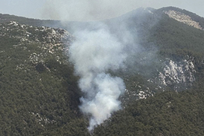 Muğla'nın Milas ilçesinde orman yangını çıktı