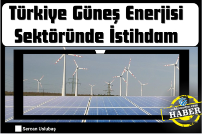 Türkiye Güneş Enerjisi Sektöründe İstihdam