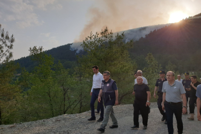 Sinop’taki orman yangını kontrol altına alındı   