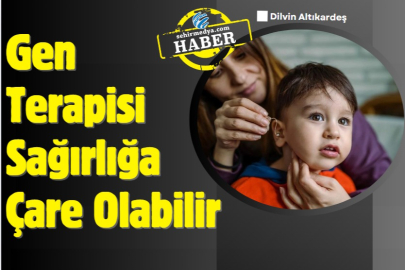 Gen Terapisi Sağırlığa Çare Olabilir