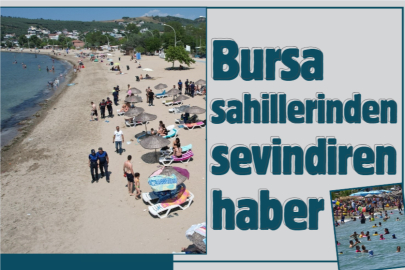 Bursa sahillerinden sevindiren haber