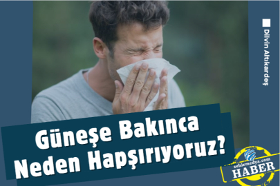 Güneşe Bakınca Neden Hapşırıyoruz?