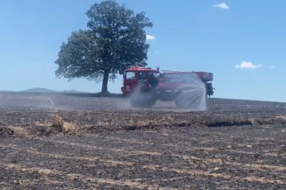 Balıkesir'de tarla yangını: 35 ton buğday kül oldu 