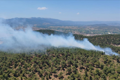 Balıkesir'de orman yangınına müdahale ediliyor