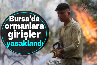 Bursa'da ormanlara girişler  yasaklandı