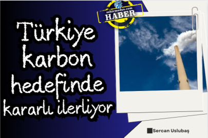 Türkiye karbon hedefinde kararlı ilerliyor