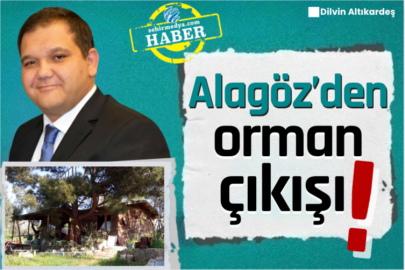 Alagöz’den orman çıkışı!