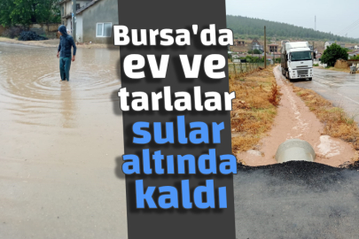 Bursa'da ev ve tarlalar sular altında kaldı