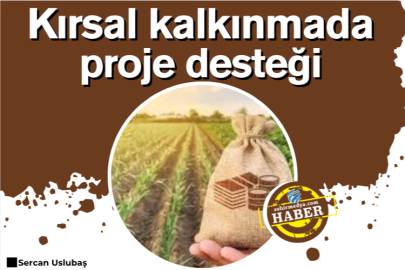 Kırsal kalkınmada proje desteği