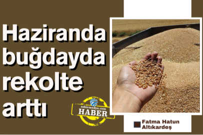 Haziranda buğdayda rekolte arttı