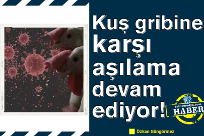 Kuş gribine karşı aşılama devam ediyor!