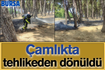 Çamlıkta tehlikeden dönüldü