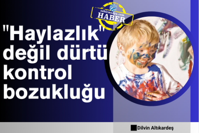 "Haylazlık" değil dürtü kontrol bozukluğu