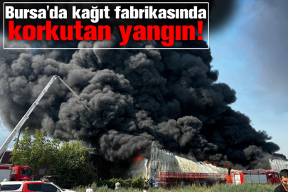 Bursa'da kağıt fabrikasında korkutan yangın!