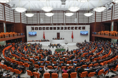 Sahipsiz hayvanlara yönelik kanun teklifi TBMM Genel Kurulunda kabul edildi