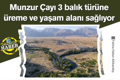 Munzur Çayı 3 balık türüne yaşam alanı sağlıyor