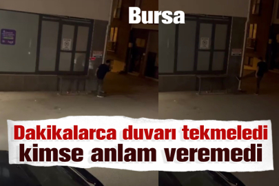 Bursa'da dakikalarca duvarı tekmeledi, kimse anlam veremedi