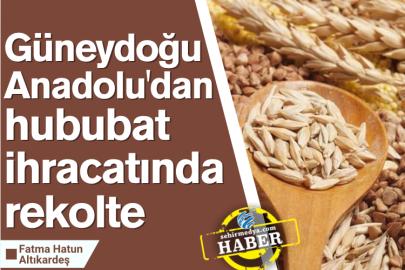 Güneydoğu Anadolu'dan hububat ihracatında rekolte