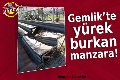 Gemlik’te yürek burkan manzara!