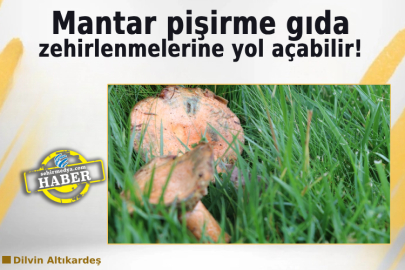 Mantar pişirme gıda zehirlenmelerine yol açabilir!