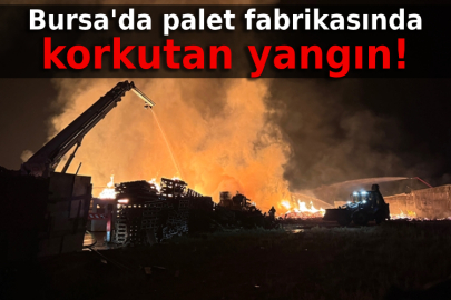 Bursa'da palet fabrikasında korkutan yangın!