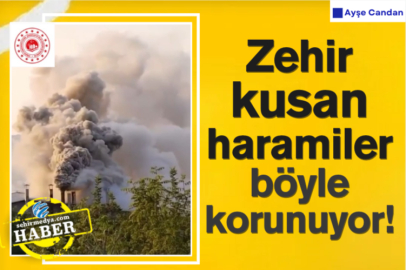 Zehir kusan haramiler böyle korunuyor!