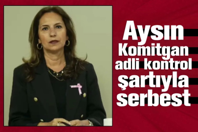 Aysın Komitgan adli kontrol şartıyla serbest