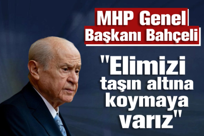 MHP Genel Başkanı Bahçeli: Elimizi taşın altına koymaya varız