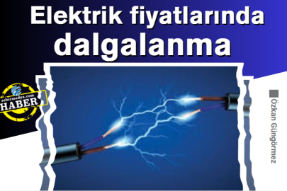 Elektrik fiyatlarında dalgalanma 