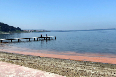 Marmara Denizi’ni bekleyen tehlike;  Alg patlaması