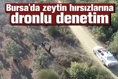 Bursa'da zeytin hırsızlarına dronlu denetim