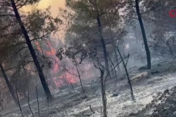 Bursa'da başlayan orman yangını Balıkesir'e sıçradı