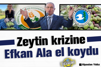 Zeytin krizine Efkan Ala el koydu