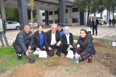 BUÜ’de ağaçlandırma çalışmaları devam ediyor