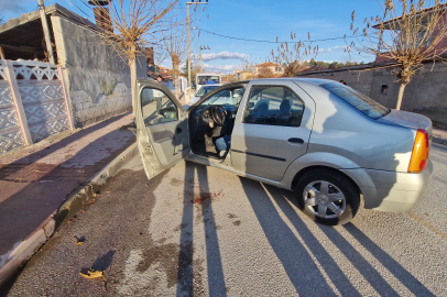 Ağaca çarpan otomobilin sürücüsü yaralandı