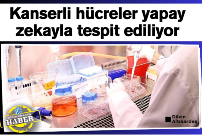 Kanserli hücreler yapay zekayla tespit ediliyor