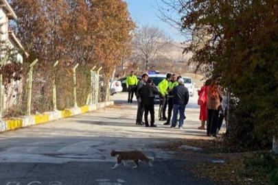 Otomobilin çarptığı öğrenci yaralandı