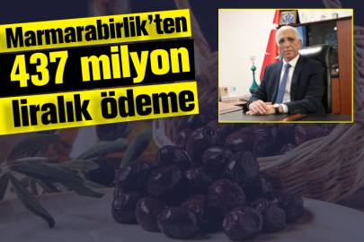 Marmarabirlik’ten 437 milyon liralık ödeme