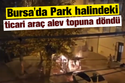 Bursa'da park halindeki ticari araç alev topuna döndü