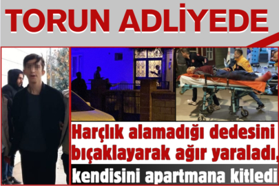 İnegöl'de dedesini bıçaklayan torun adliyede