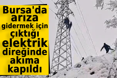 Bursa'da arıza gidermek için çıktığı elektrik direğinde akıma kapıldı