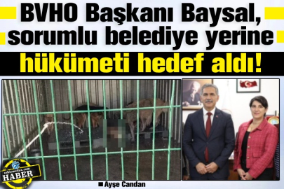 BVHO Başkanı Baysal, sorumlu belediye yerine hükümeti hedef aldı!