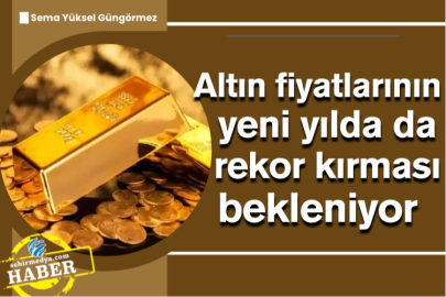 Altın fiyatlarının yeni yılda da rekor kırması bekleniyor