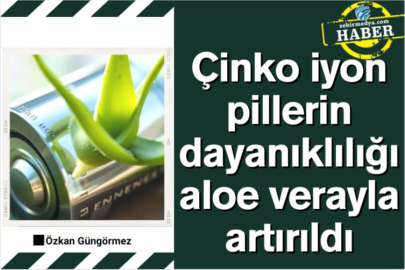 Çinko iyon pillerin dayanıklılığı aloe verayla artırıldı