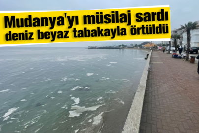 Mudanya'yı müsilaj sardı, deniz beyaz tabakayla örtüldü