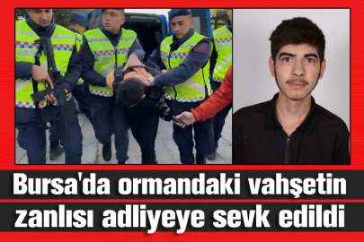 Bursa'da ormandaki vahşetin zanlısı adliyeye sevk edildi