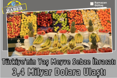 Türkiye'nin Yaş Meyve Sebze İhracatı 3,4 Milyar Dolara Ulaştı